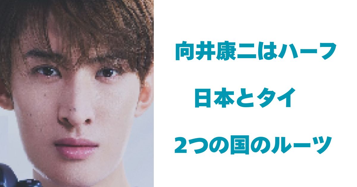 向井康二