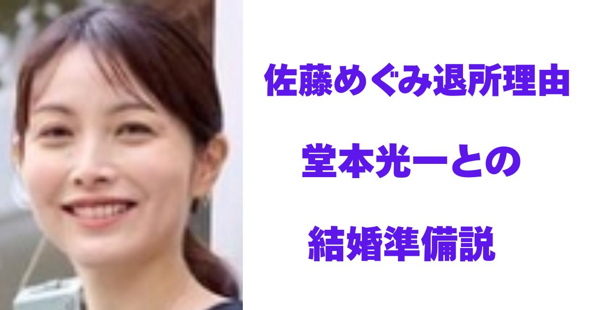 佐藤めぐみ